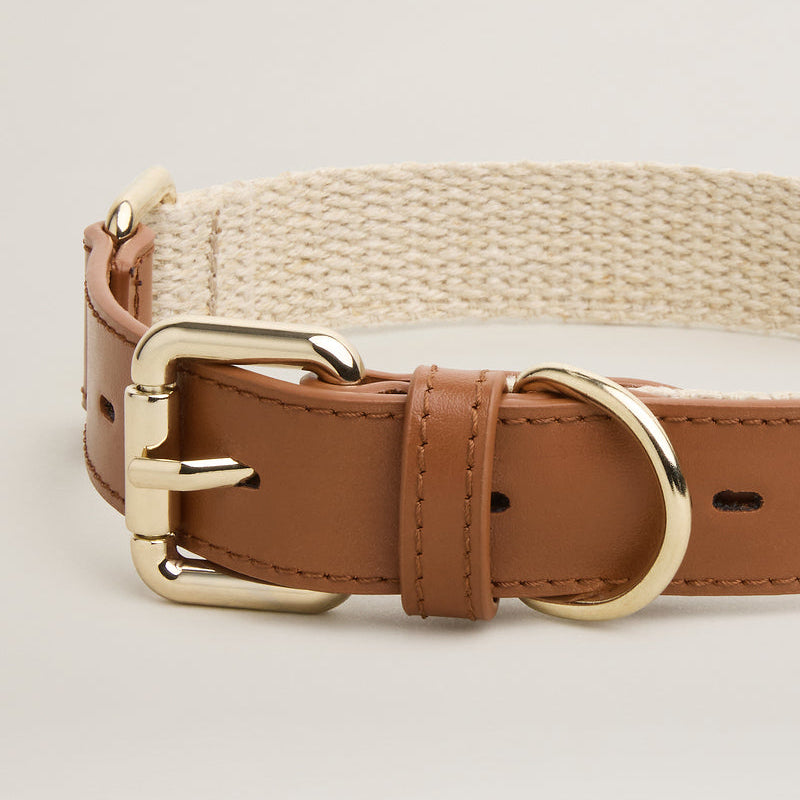 01 / Signature Collar