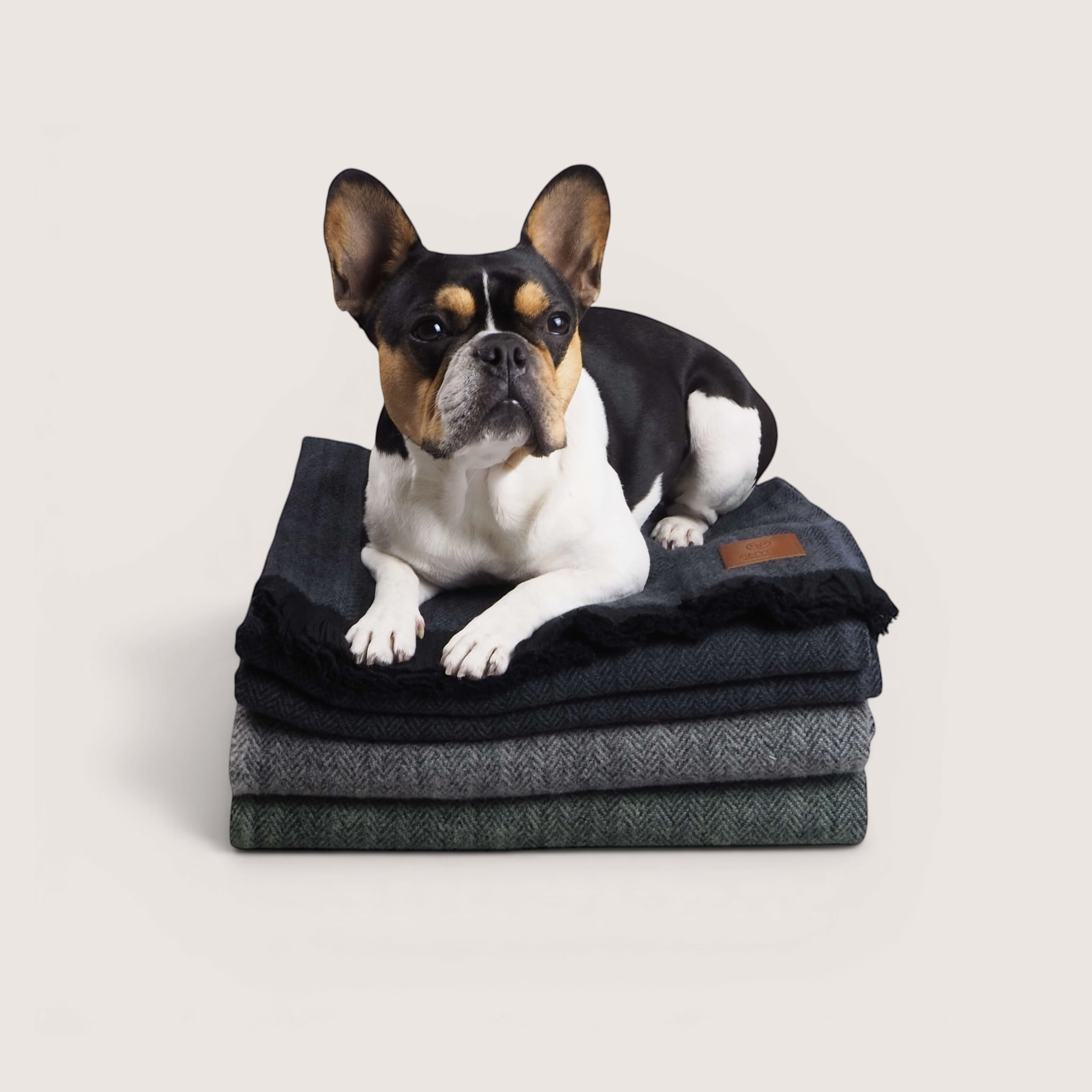 Tasman Blanket