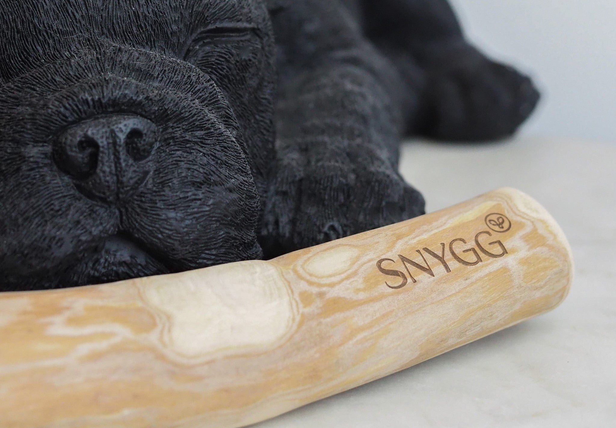 Photo of SNYGG coffee wood chew stick in front of dog