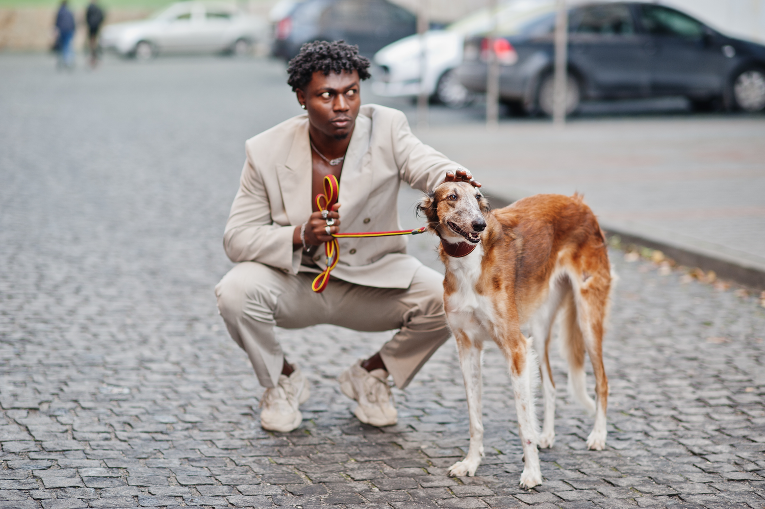 Man in cobble stone street with Italian greyhound