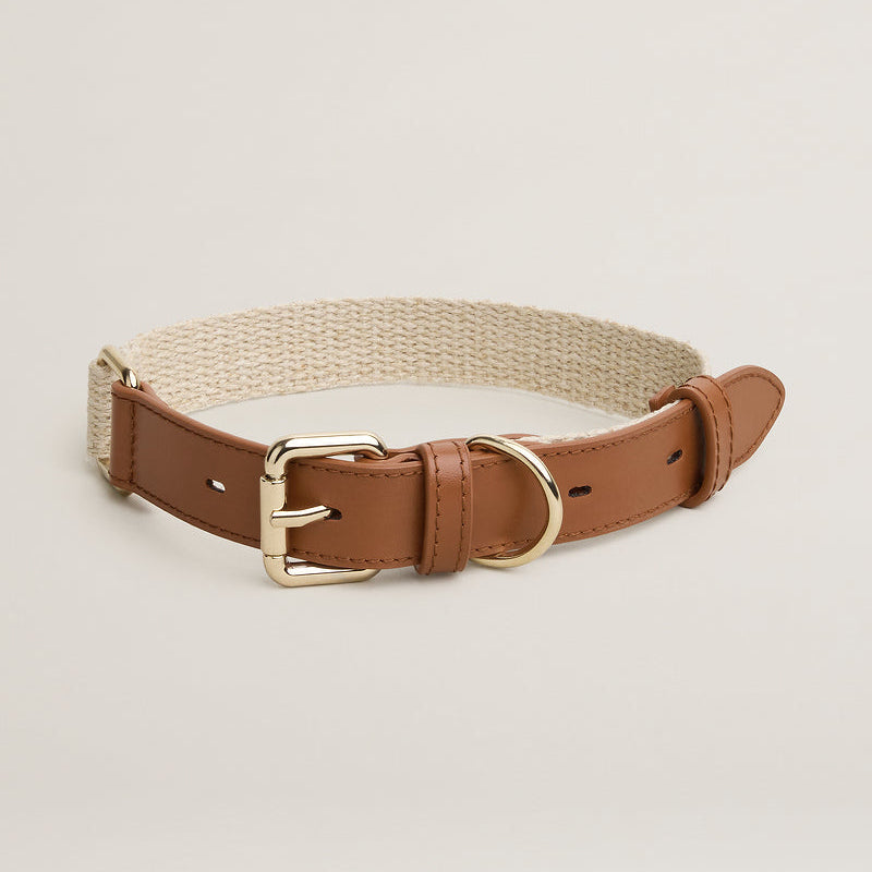 Dog collar with brown leather strap and gold buckle on a beige background