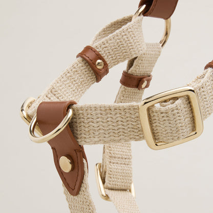 Dog harness with brown leather straps and gold hardware on a light background