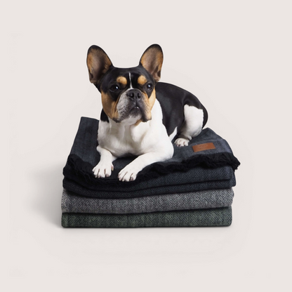 Tasman Blanket