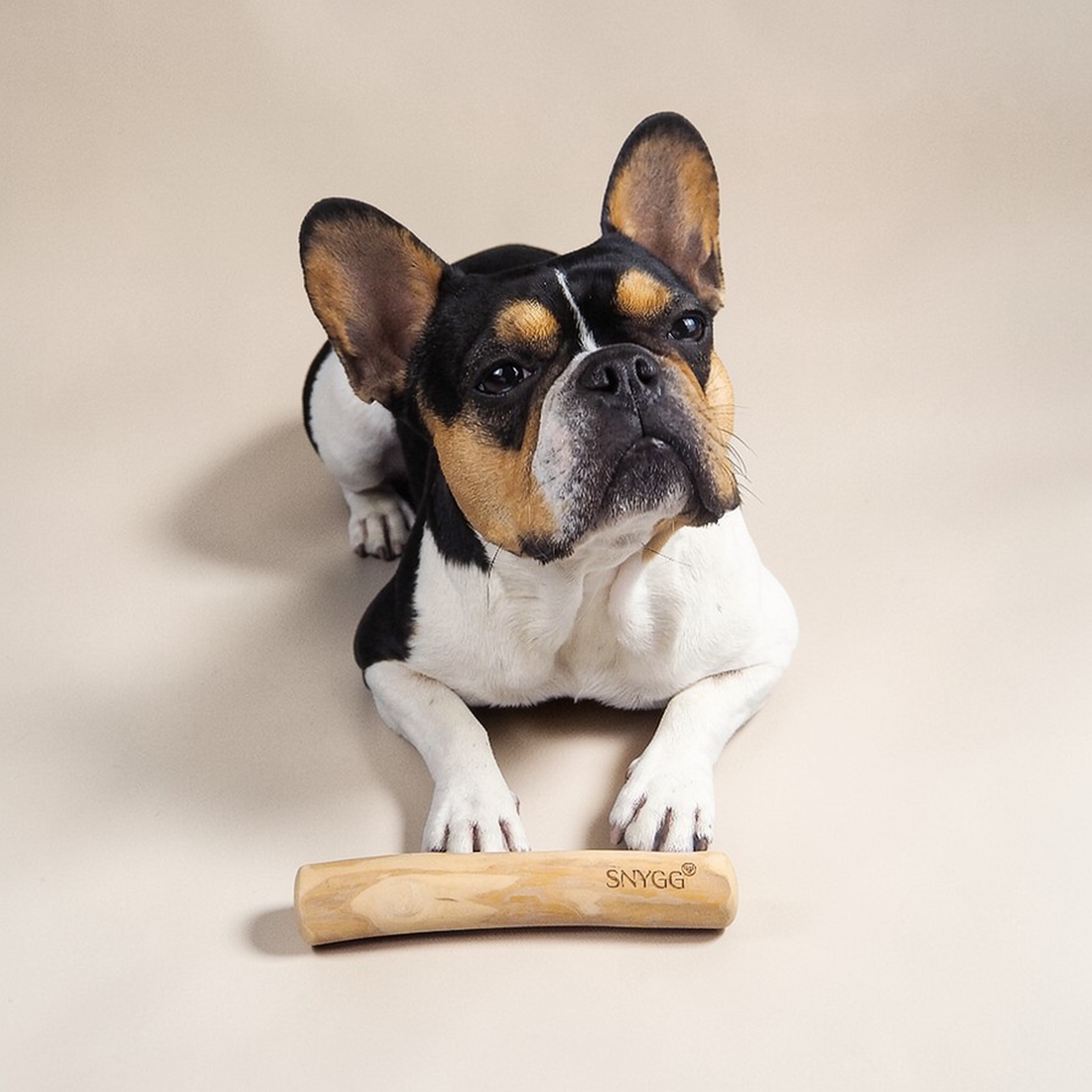 Coffee Wood Stick Chew